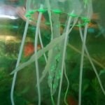 Artificial Swim Glowing Jellyfish photo review