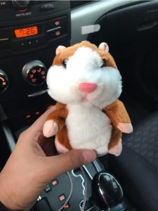 Talking Hamster Toy photo review