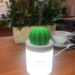 Portable Cactus Humidifier photo review