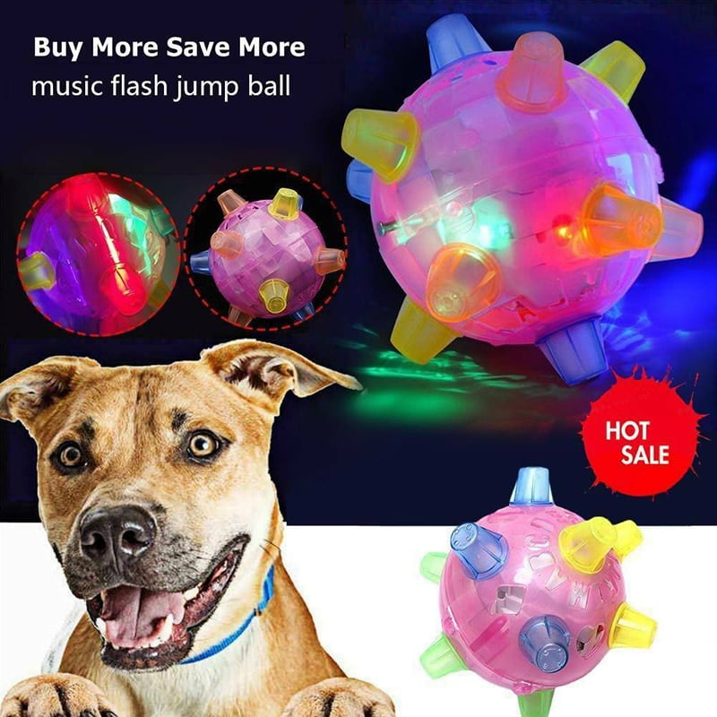 activation ball for dogs