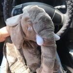 Infant Elephant Pillow photo review