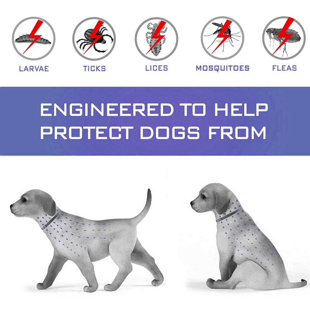 Dewel pro guard flea and tick collar sale