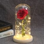 Enchanted-Rose-Flower-Lamp