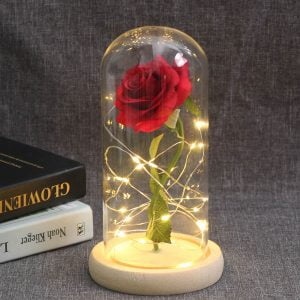 Enchanted Rose Flower Lamp