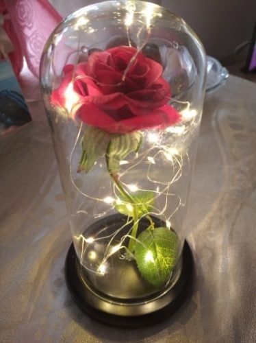 Enchanted Rose Flower Lamp photo review