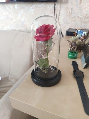 Enchanted Rose Flower Lamp photo review