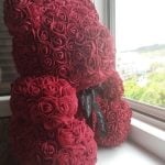 Rose Teddy Bear photo review