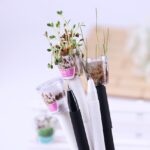 Real-Mini-Potted-Plant-Pens