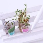 Real-Mini-Potted-Plant-Pens