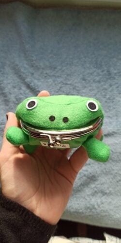 Green Frog Wallet photo review