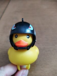 The "Ducky" Light Horn photo review