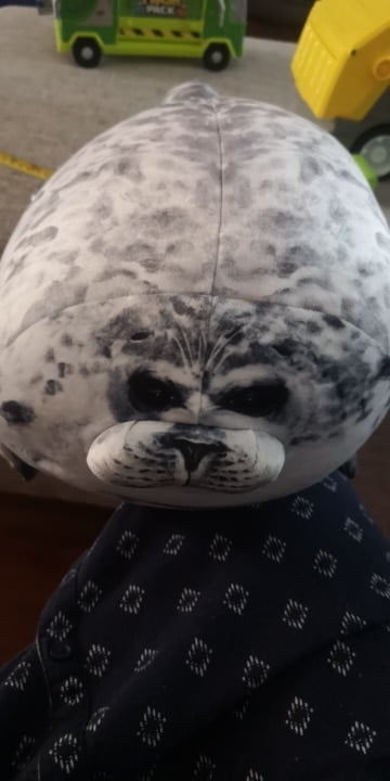 seal chonk pillow