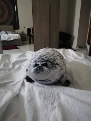 huge seal pillow