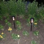 Led Solar Path Torch Light Dancing Flame photo review