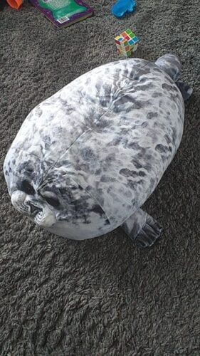 seal chonk pillow