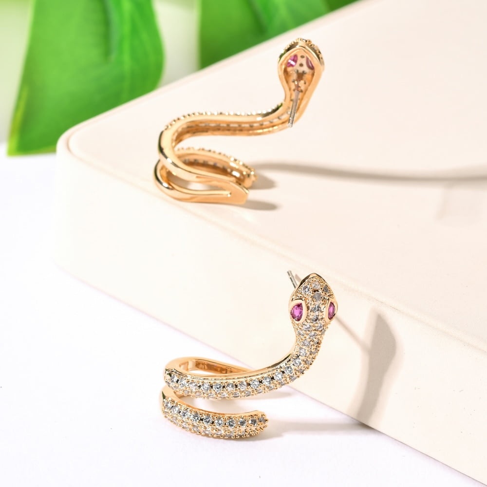Snake Climbers Earrings - JDGOSHOP - Creative Gifts, Funny Products ...