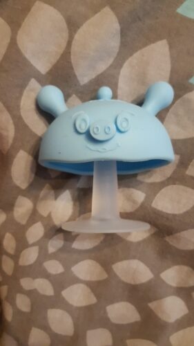Baby Small Mushroom Teething Toy photo review