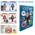 Anatomy of The Human Body 3D Picture Book