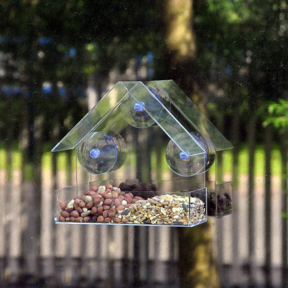 transparent window bird feeder