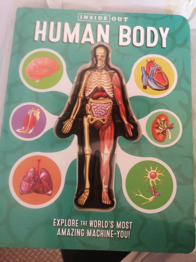 Anatomy of The Human Body 3D Picture Book - JDGOSHOP - Creative Gifts ...