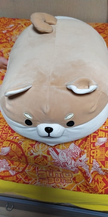 angry shiba pillow