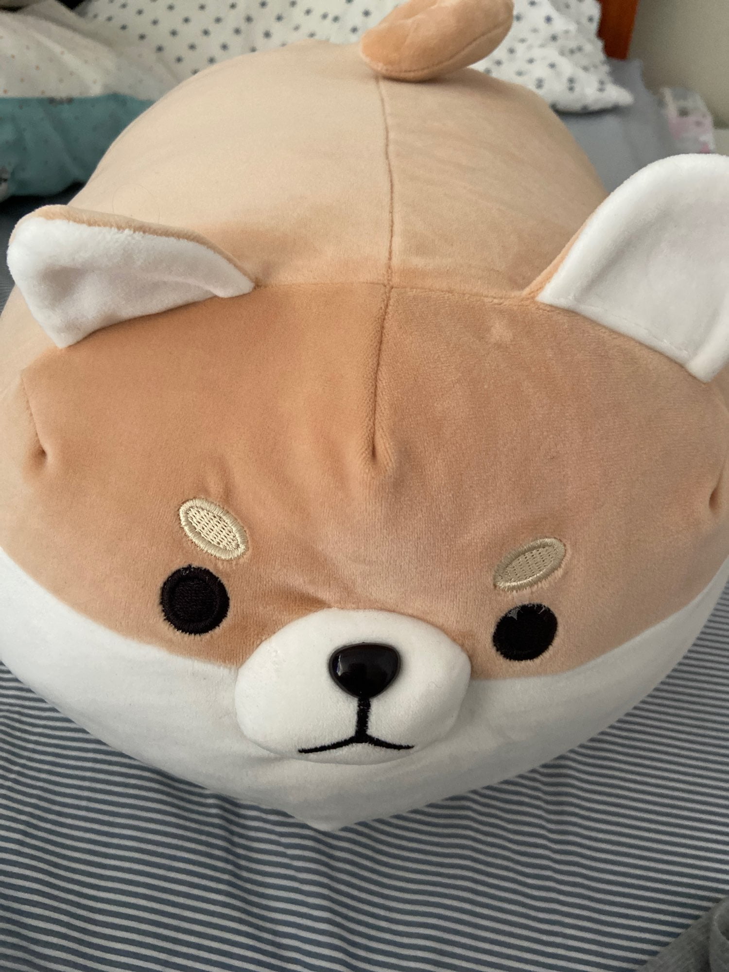 angry shiba pillow