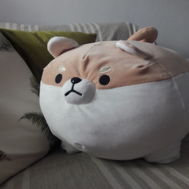 angry shiba pillow