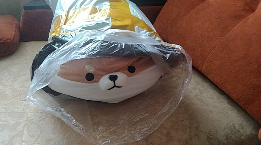 angry shiba pillow