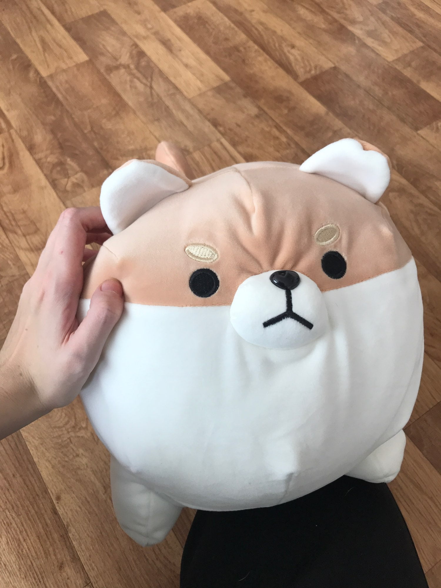 angry shiba pillow