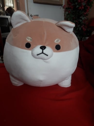 angry shiba pillow