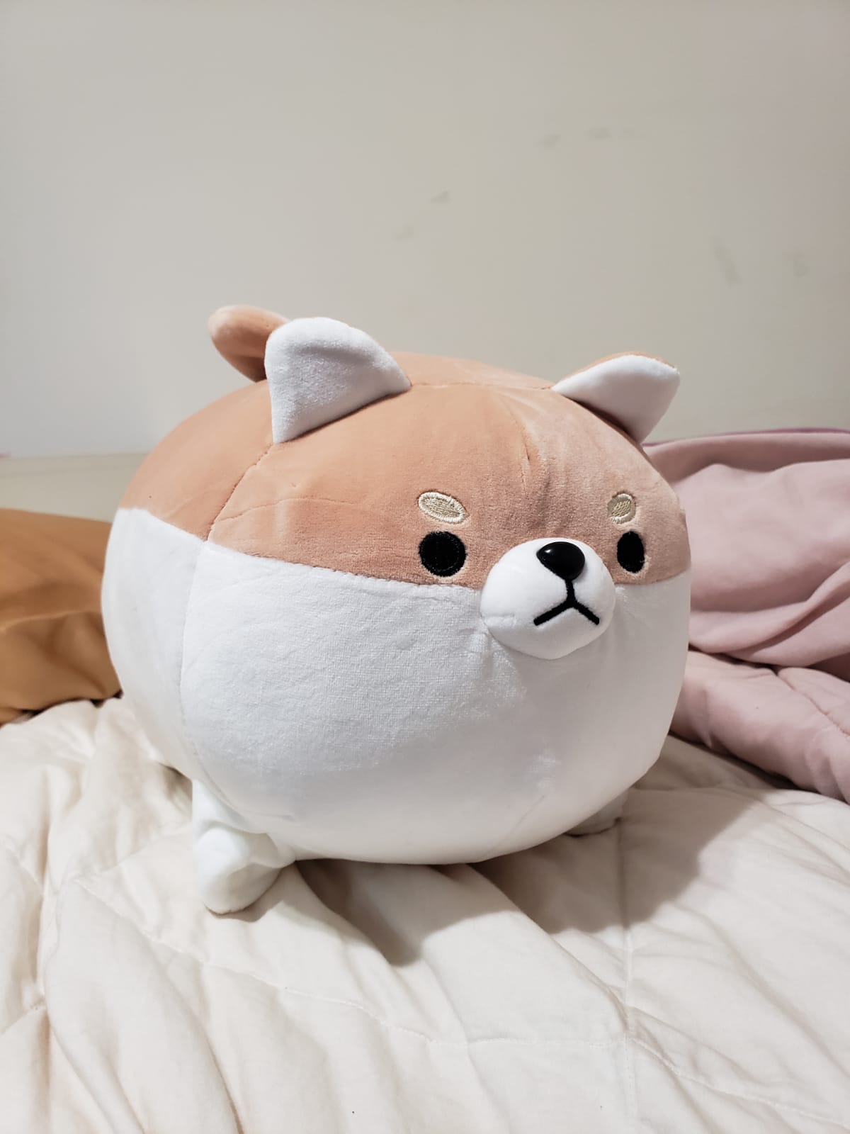 angry shiba pillow