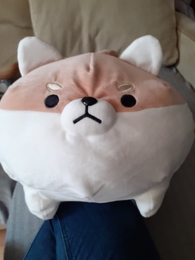 angry shiba pillow