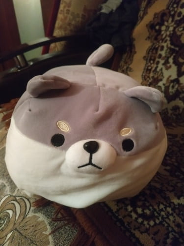 angry shiba pillow