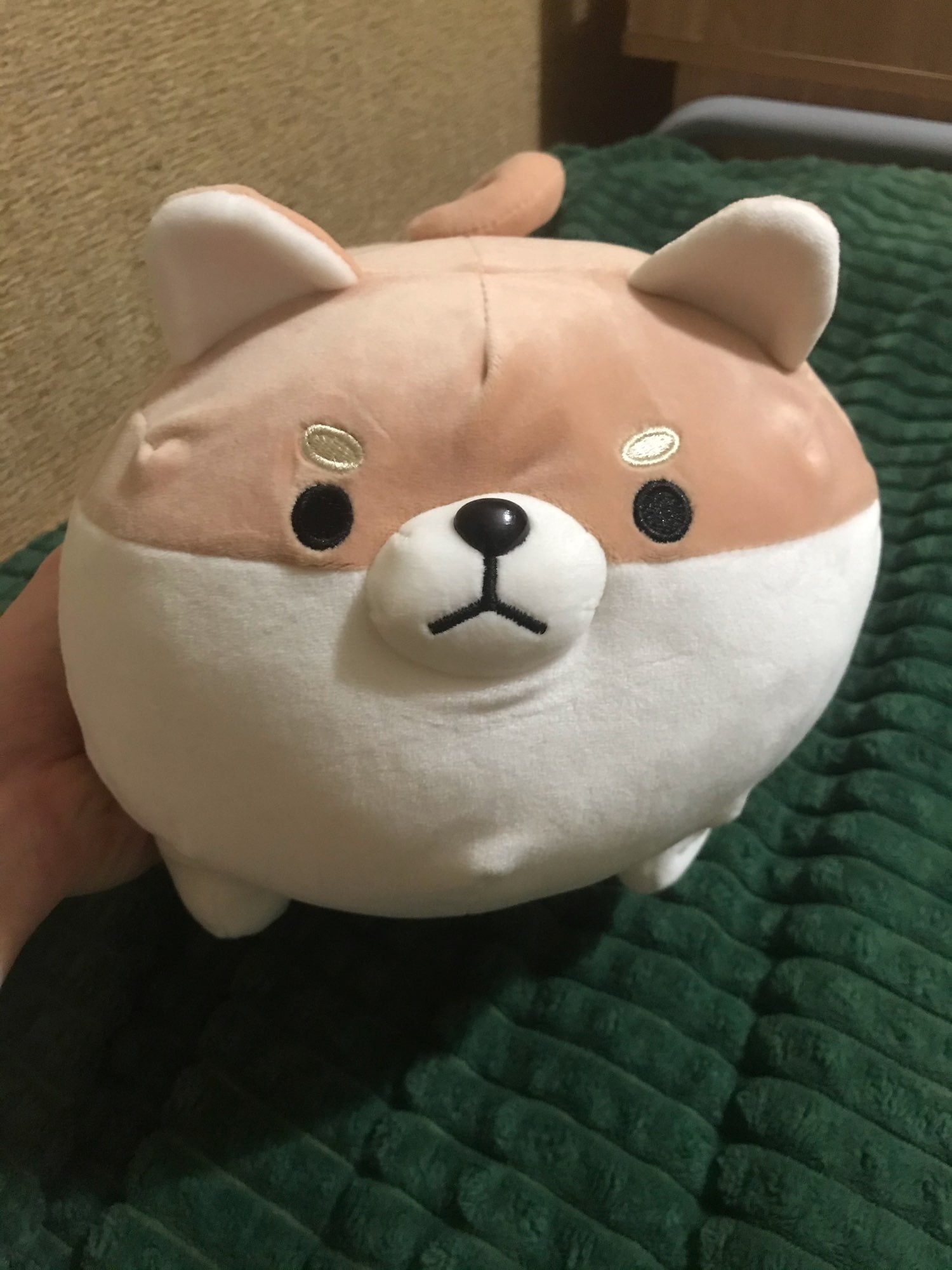 angry shiba pillow