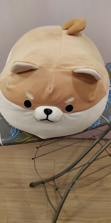 angry shiba pillow