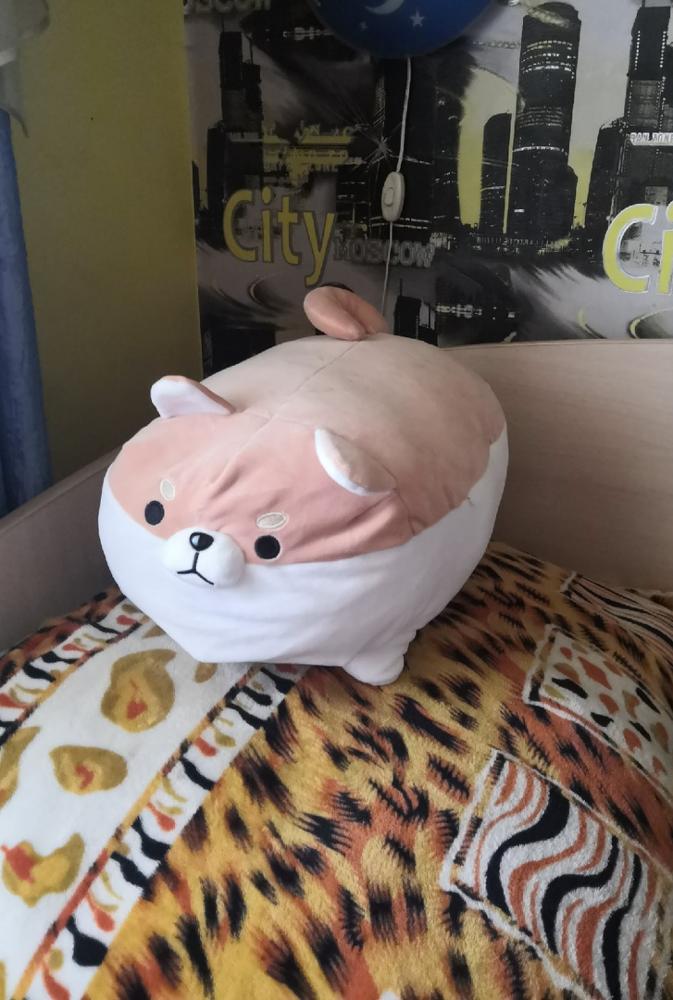 angry shiba pillow