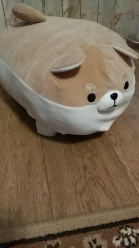 angry shiba pillow