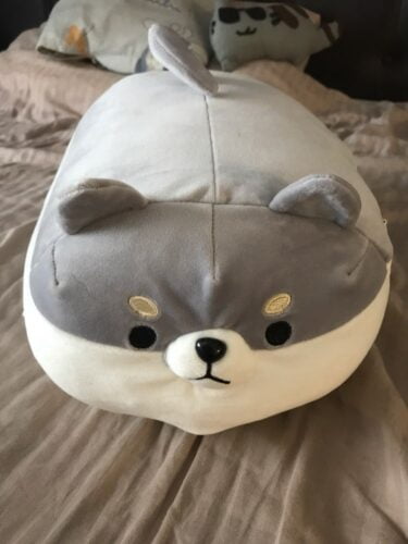 angry shiba pillow