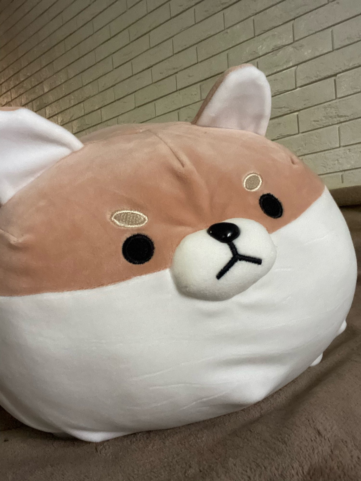 angry shiba pillow