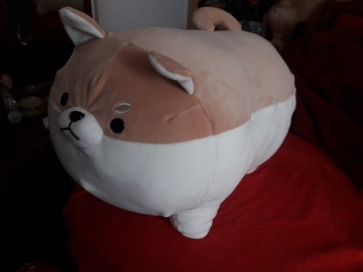 angry shiba pillow