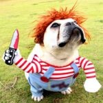 Funny-Dog-Clothes-Dogs-Cosplay-Costume-Halloween-Comical-Outfits-Holding-a-Knife-Set-Pet-Cat-Dog-2