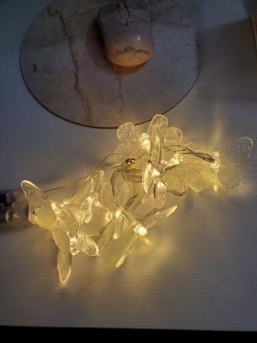 LED Butterfly String Lights photo review