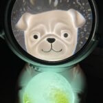 Pet Astronaut Night Lights photo review
