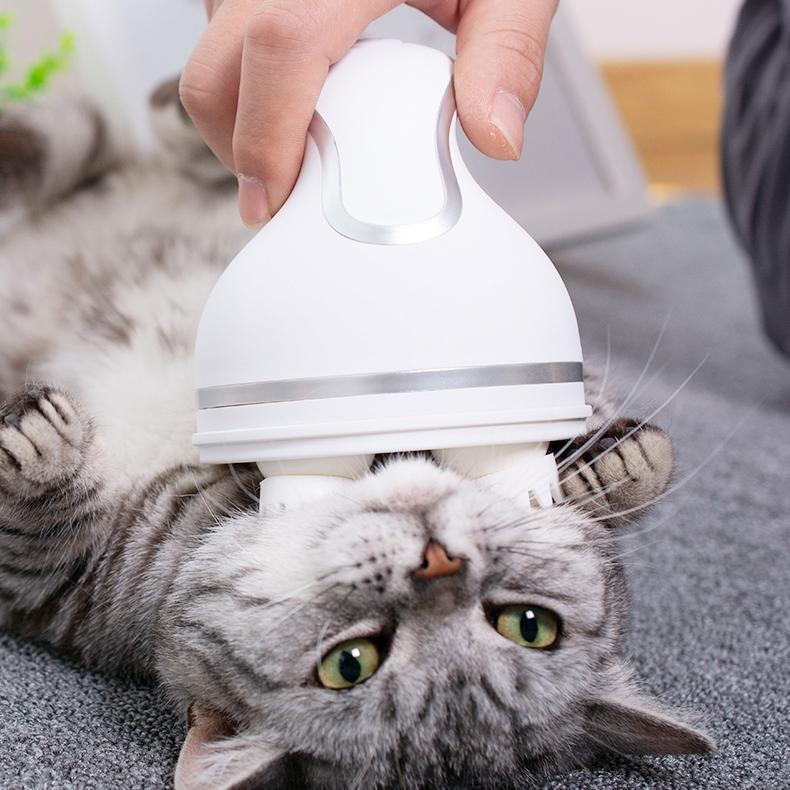 Electric Cat Massager - JDGOSHOP - Creative Gifts, Funny Products ...