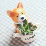 corgi-flower-pots-131366