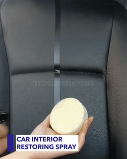 Car Interior Restoring Spray 5